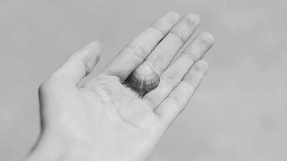 An open palm holding a single small smooth object
